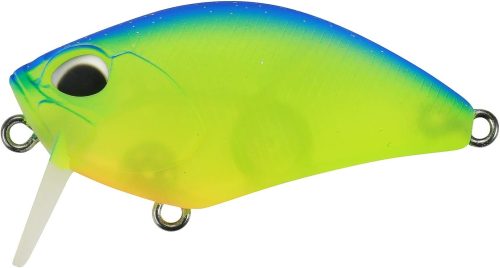 デュオ(DUO) レアリスクランク 50SSR カブキ