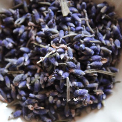 花七曜 北海道富良野産ラベンダーポプリ d-lvpopri-50-3