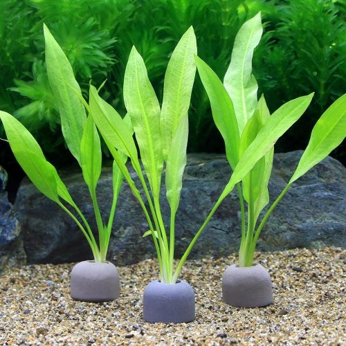 チャーム(charm) ゼオライトリング アマゾンソード