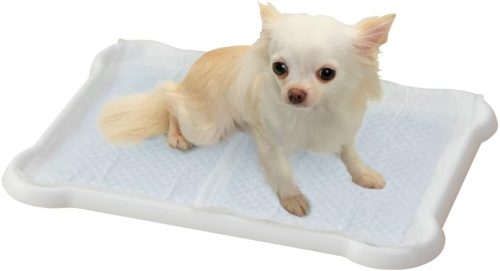 アイリスオーヤマ(IRIS OHYAMA) 犬トイレ レギュラー P-SPT