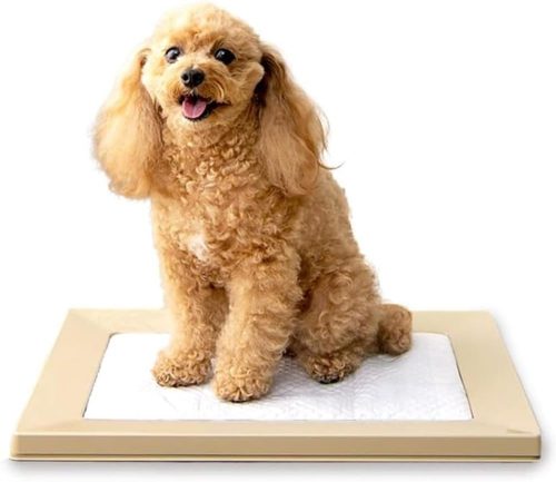 アイリスオーヤマ(IRIS OHYAMA) スクエアドッグトレー レギュラー SQDT-482R