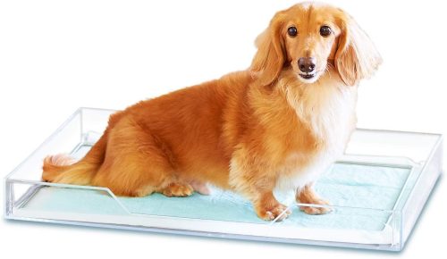 OFT クリアレット2 M シーツストッパーセット