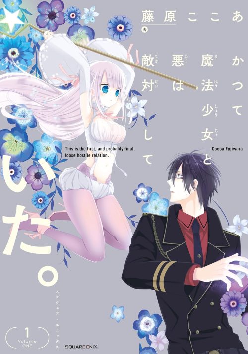 かつて魔法少女と悪は敵対していた