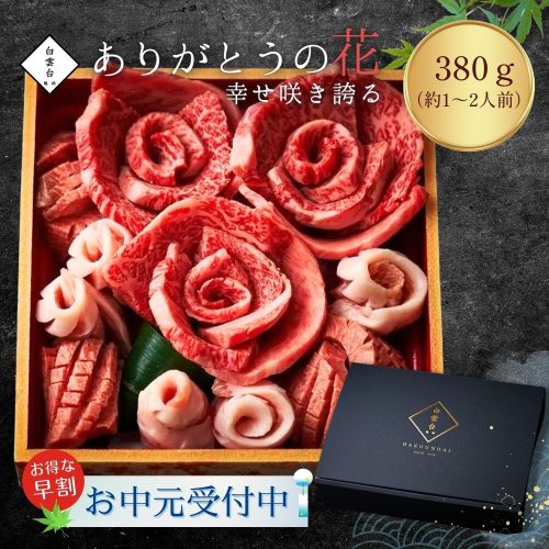 白雲台 ありがとうの花