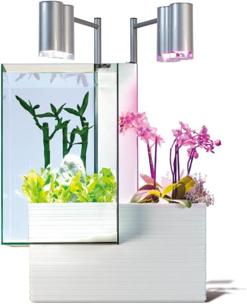 ブリオ(brio) 水槽 35