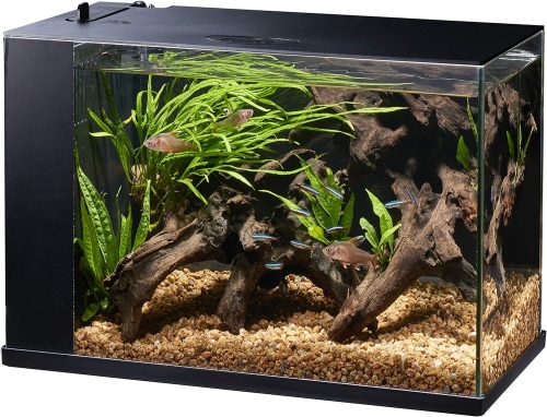 ジェックス(GEX) ラクテリア