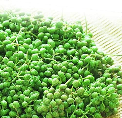 ヤマタ大谷商店 和歌山県産 冷凍 山椒