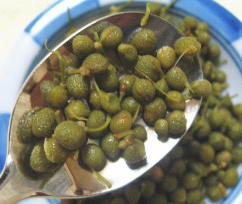 小倉屋松柏 青実山椒佃煮