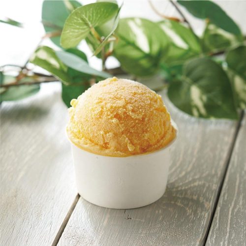 リボン食品 低糖質 アイス マンゴー