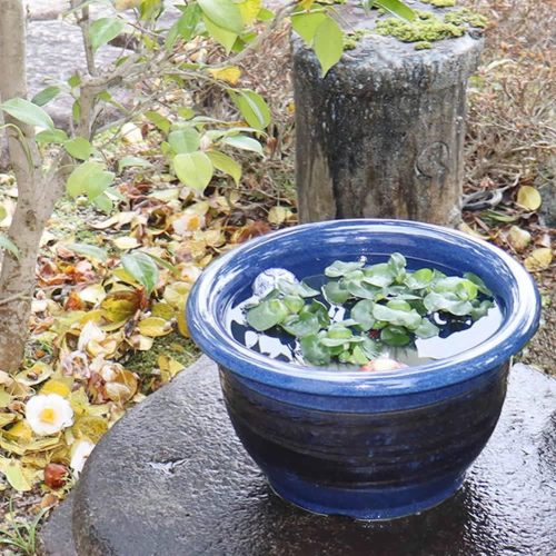 まるいち本店 13号ナマコ千段水鉢 信楽焼 金魚鉢 su-0133