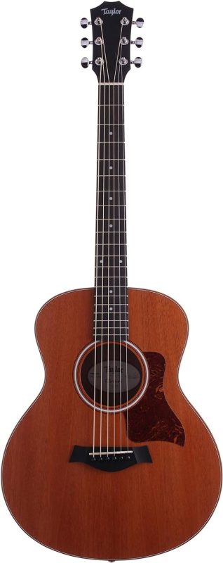 テイラー(Taylor) GS Mini Mahogany