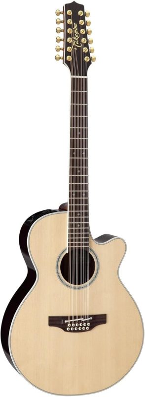 タカミネ(Takamine) エレアコ100シリーズ PTU141C-12 N