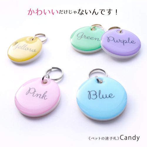 名札屋本舗 ペットのなふだ Candy キャンディ pet_candy_202202082