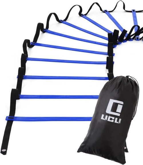 リクライ(LICLI) ラダー