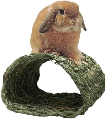 川井(KAWAI) わらっこ倶楽部 トンネルハウス