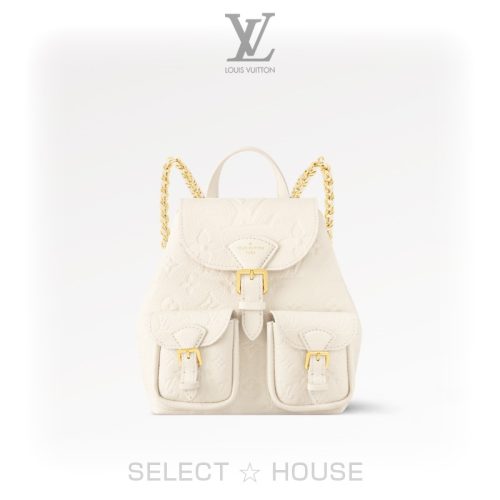 ルイ・ヴィトン(LOUIS VUITTON) バックアップ