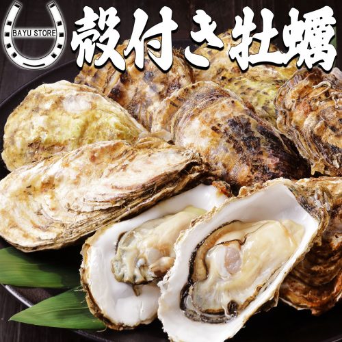 BAYU STORE 殻付き牡蠣 1袋10粒入り