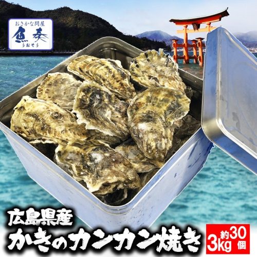 おさかな問屋 魚奏 カンカン焼きセット3kg