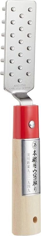 遠藤商事 TKG ウロコ取り BUL4301