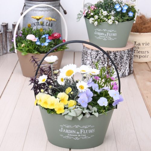 吉本花城園 季節のおまかせ寄せ植え