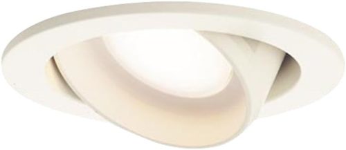 パナソニック(Panasonic) LEDユニバーサルダウンライト LSEB5505LE1