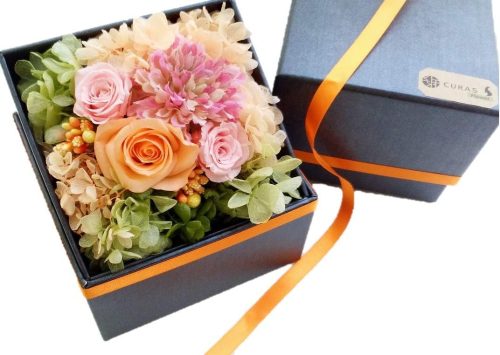 クラス(CURAS) プリザーブドフラワー 本物たっぷり アミファ amifa 全面コラボ