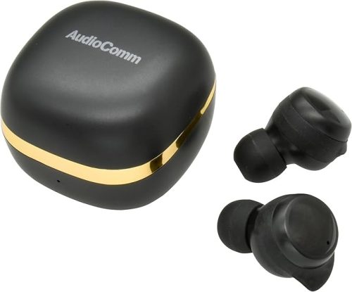 オーム電機(OHM) AudioComm 完全ワイヤレスイヤホン HP-W430N 2024