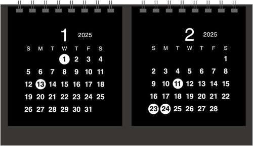 エヌ・プランニング(N.planning) 2025年 卓上カレンダー 1月始まり クラフト 2マンス CT-526