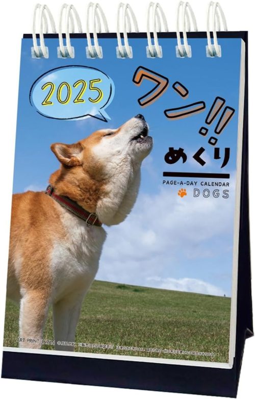 アートプリントジャパン 2025年 ワン!!めくり カレンダー No.032