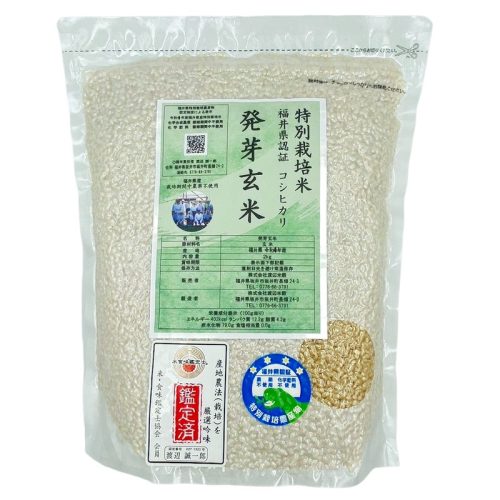 渡辺米穀 特別栽培米 福井県産こしひかり 発芽玄米
