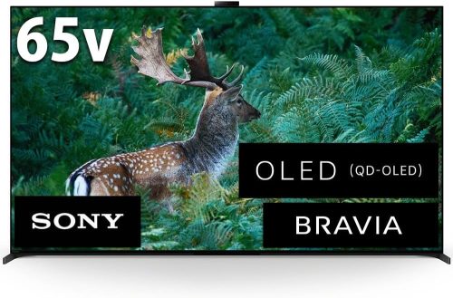 ソニー(SONY) 4K有機ELテレビ BRAVIA 65V型 XRJ-65A95L 2024
