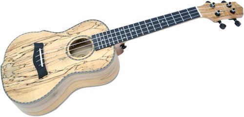 プレイテック(PLAYTECH) コンサートウクレレ PUK403