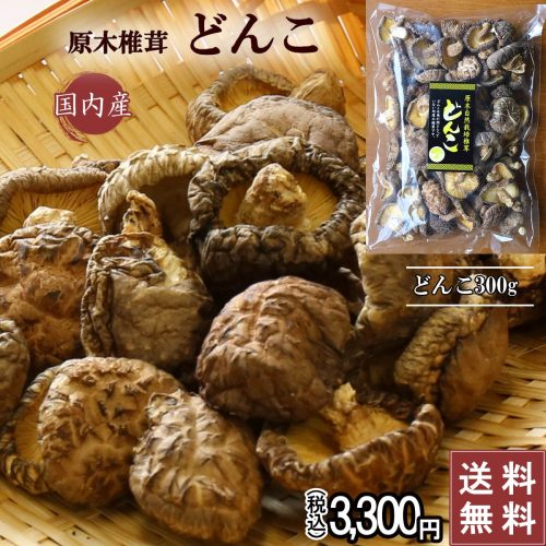 美濃椎茸 原木椎茸 どんこ