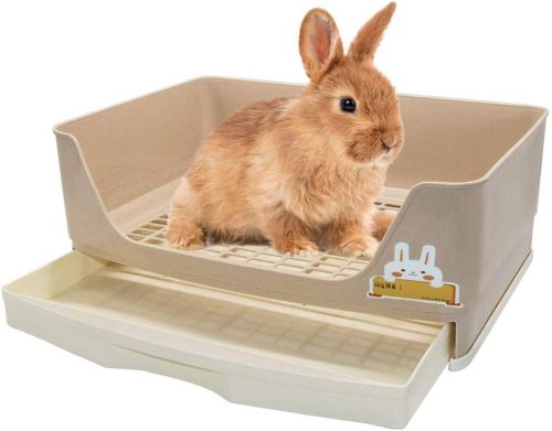 Gifty うさぎトイレ