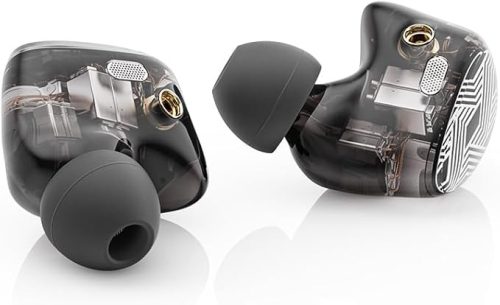 フィーオ(FiiO) FA19 FIO-IEM-FA19 2024