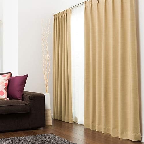 アイカ(aiika) ドレープカーテン luonto CT9114