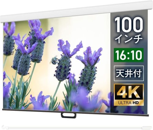 シアターハウス ケース付きスプリングスクリーン WCS2154FEH