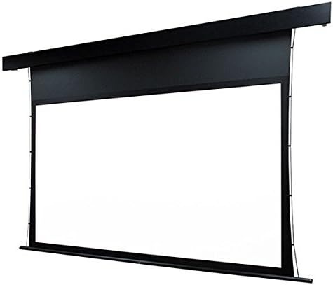 オーエス(OS) サイドテンション電動スクリーン TP-100HM-MRK1-HF102