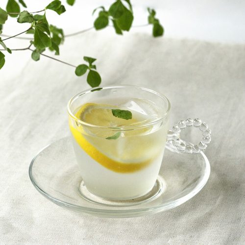 ハリオランプワークファクトリー(HARIO Lampwork Factory) カップ&ソーサー サークル N HTW-CS-C-N