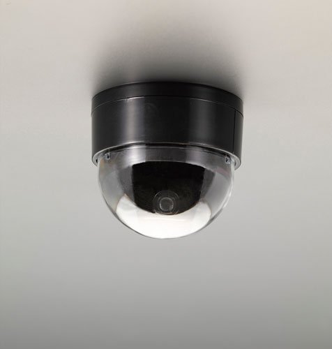 エスコ(ESCO) 防犯用ダミーカメラ ドーム型 EA864CD-47