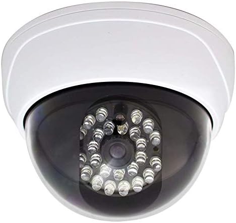 キャロットシステムズ(CARROT SYSTEMS) ドーム型ダミーカメラ DD-128