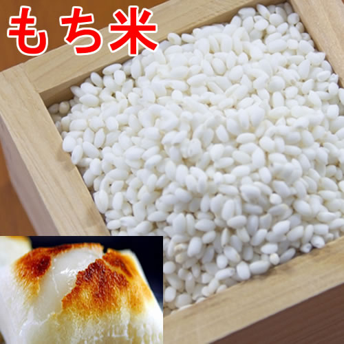 富永米穀店 佐賀産ひよくもち