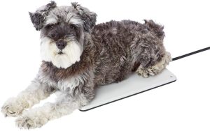 犬用ヒーターのおすすめ10選。寒い季節も安心のあったかグッズをご紹介