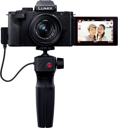 パナソニック(Panasonic) 一眼カメラ DC-G100V 2020