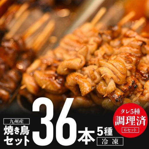 宮崎県宮崎市 九州産焼き鳥セット盛り合わせ 5種36本 13,000円