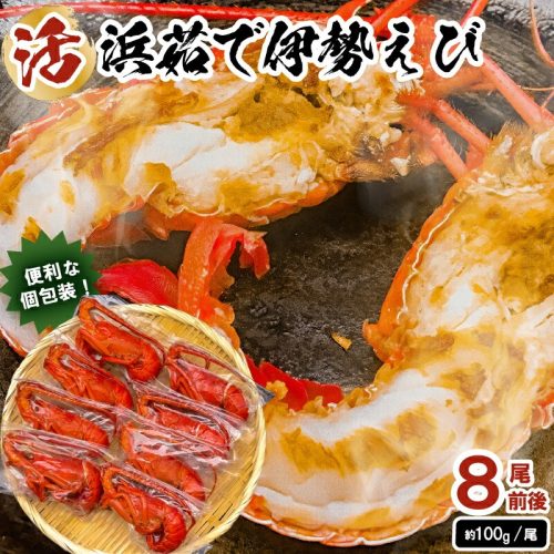 千葉県南房総市 ボイル冷凍伊勢海老 約100g×8尾前後 28,000円