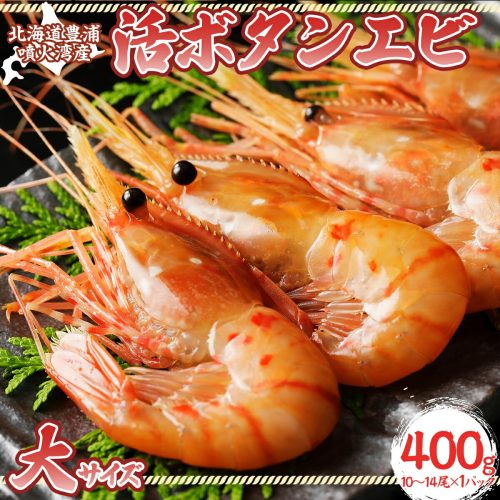 北海道豊浦町 活ボタンエビ 大サイズ 400g 10~14尾 27,500円