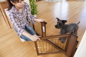 ペットゲートのおすすめ21選。安全対策にぴったりのアイテムをご紹介
