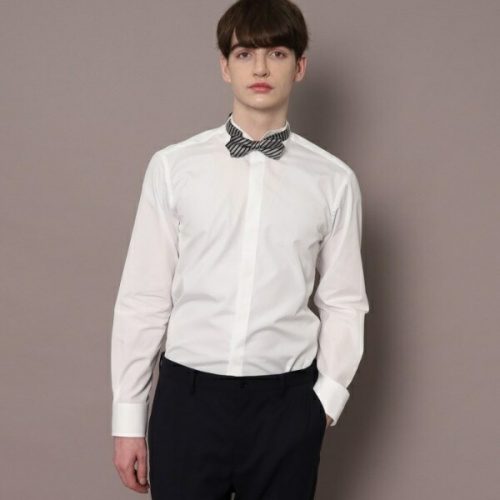 ドレステリア(DRESSTERIOR) 120双糸ウイングカラーシャツ