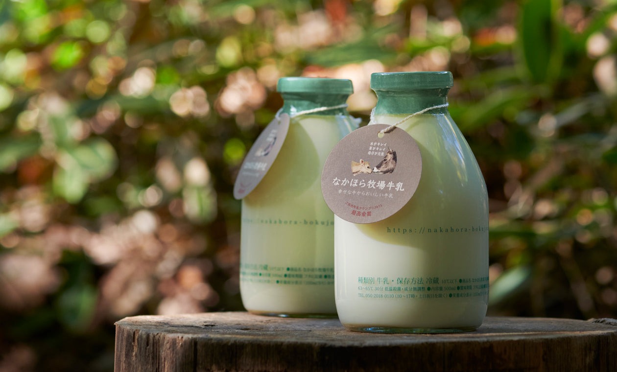 牛乳キャップ 名糖 牛乳キャップ 蓋 池田牛乳 牛乳キャップ/牛乳瓶の